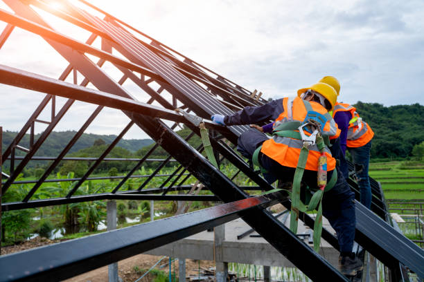 Best Metal Roofing Contractor  in Yerington, NV